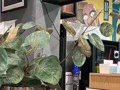 -咖法森林·咖啡  酒吧(天河店)