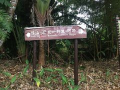 -海南热带野生动植物园