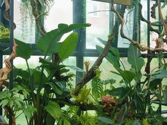 -北马山庄植趣咖啡