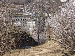 -白水寺森林公园