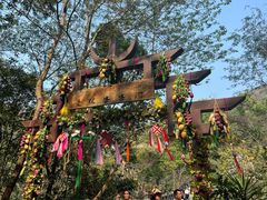 -西双版纳原始森林公园