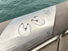 -星光大道
