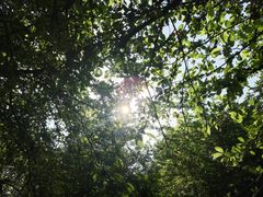 -南山植物园