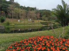 -云溪植物园
