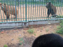 -秦皇岛野生动物园