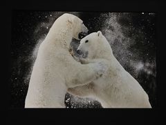 -罗红摄影艺术馆