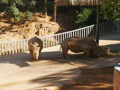 -泉州海丝野生动物世界
