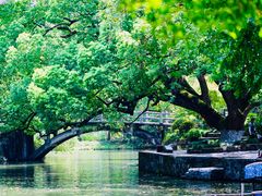 -西溪国家湿地公园