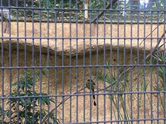 -新加坡飞禽公园