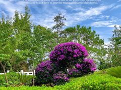 -墨江北回归线标志园