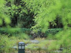 -白塘生态植物园