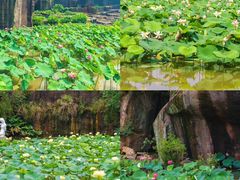 -广州莲花山旅游区