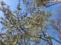 -长春市南湖公园