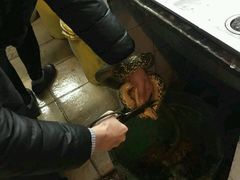 -潮盧打边炉