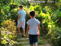 -园林美食城·本土农家菜(杨和镇店)