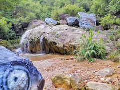 -南海湾森林生态园