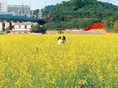-光明小镇欢乐田园