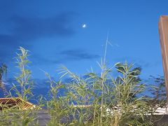 -山壹竹庭院餐厅