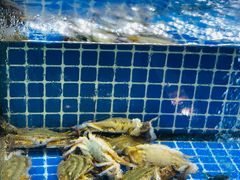 -碧海银沙海鲜餐厅(恒大海上威尼斯店)