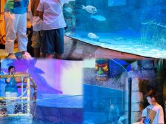 -沈阳海洋探索中心