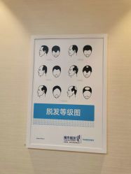 -雍禾植发
