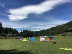-武陵山森林公园