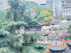 -包整·丝娃娃(甲秀楼景观店)