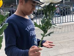 -侵华日军南京大屠杀遇难同胞纪念馆
