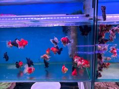 -香炉礁家具市场