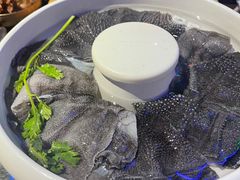 鲜毛肚-来涮蜀鲜货火锅串串香(菜市口店)