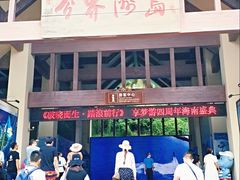 -海南分界洲岛旅游区