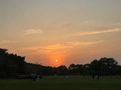 -顺峰山公园