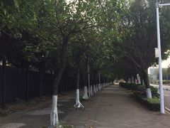 -华南理工大学(大学城校区)
