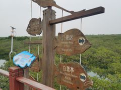 -北海金海湾红树林生态旅游区