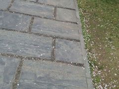 android_upload_pic-南通博物苑-崇川人民公园