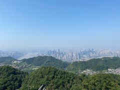 -大金鹰园