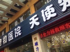 iphone_upload_pic-瑞派天使宠物医院·神经外科·骨科·核磁(洛川中路店)