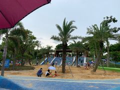 -宝安西湾红树林湿地公园