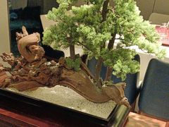 -顺峰(农展馆店)