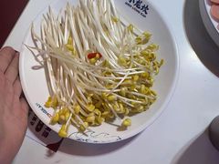 -小龙坎火锅(世纪城店)