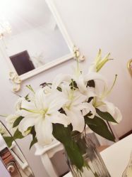 -美肤盾祛痘·问题肌头疗管理中心