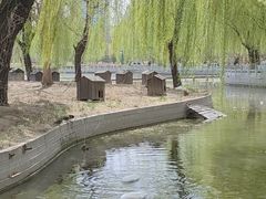 -莲花池公园