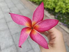 -海珠儿童公园