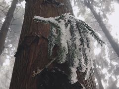 -山王坪喀斯特国家生态公园