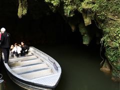 -怀托摩萤火虫洞