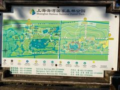 -上海海湾国家森林公园