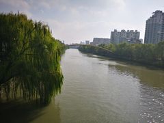 -运河游船(武林门码头)