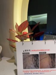 -木北造型