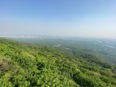 -紫金山山顶公园