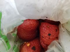 草莓-雪儿钱局泡菜